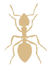 icono hormiga