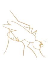 icono mosquito