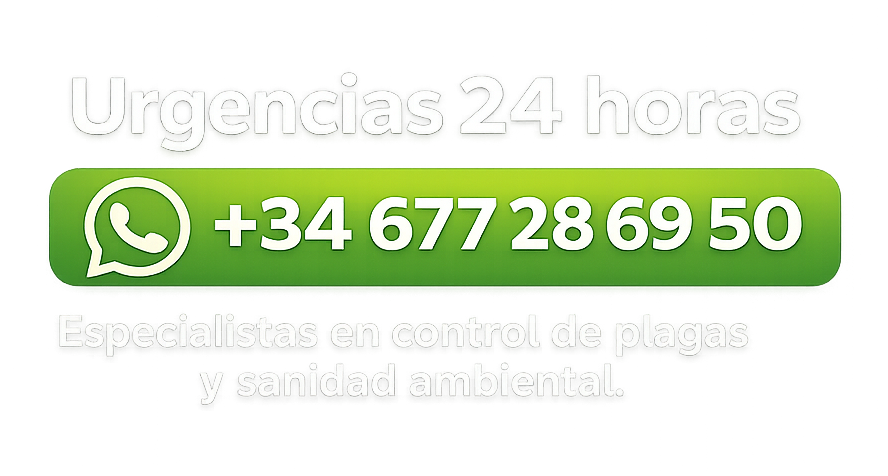 Contactar por WhatsApp